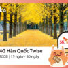 Sim 4G Han Quoc Twise