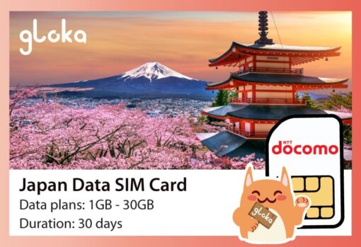 Japan data sim card