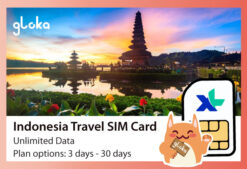 Indonesia Travel SIM Card XL