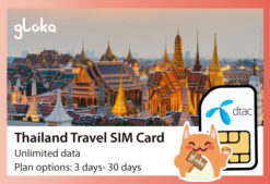 Thailand travel sim card dtac