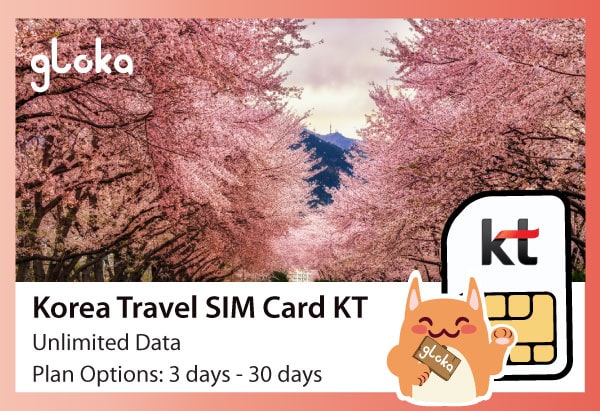 Korea travel sim card KT