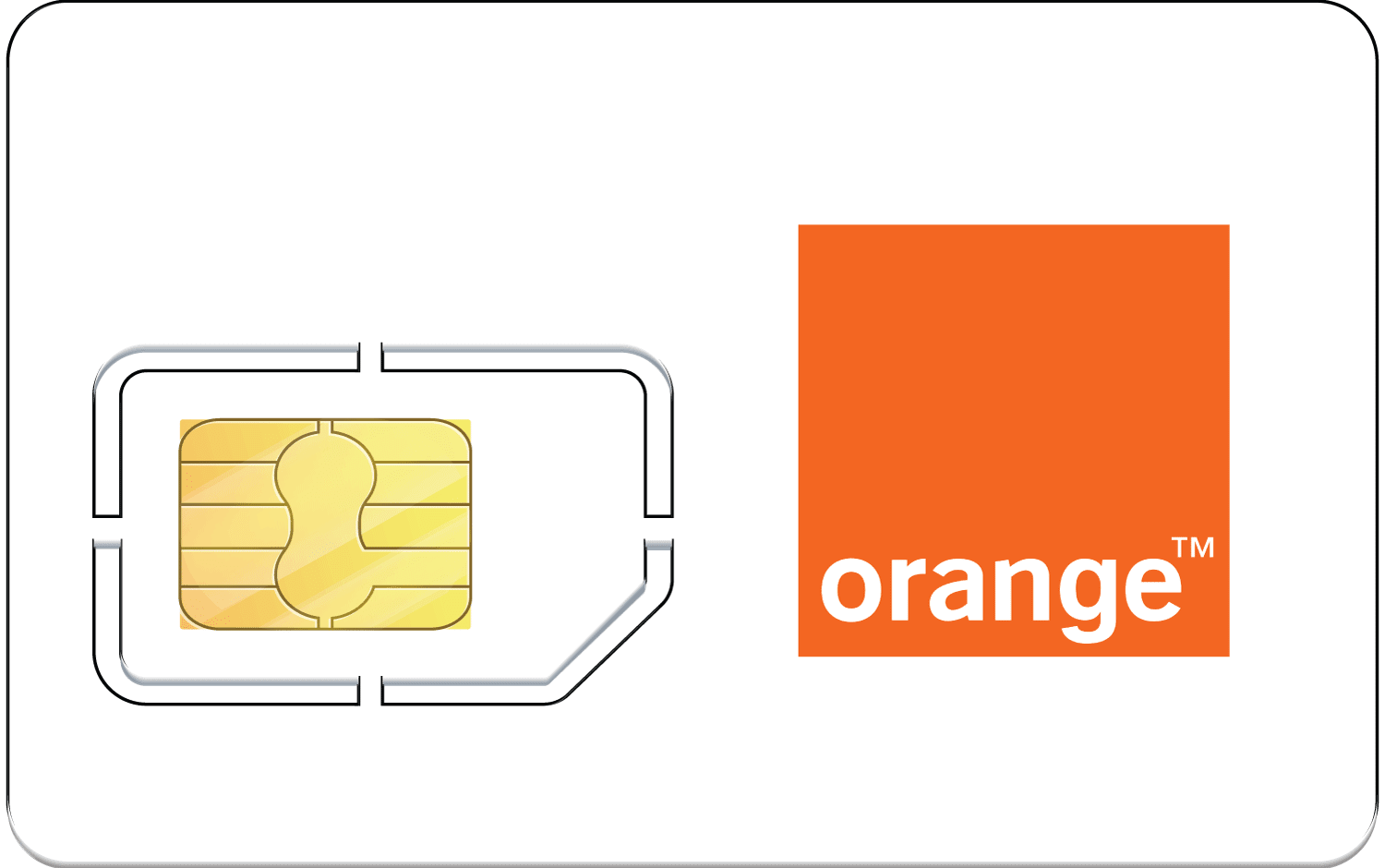 Sim châu ÂU Orange