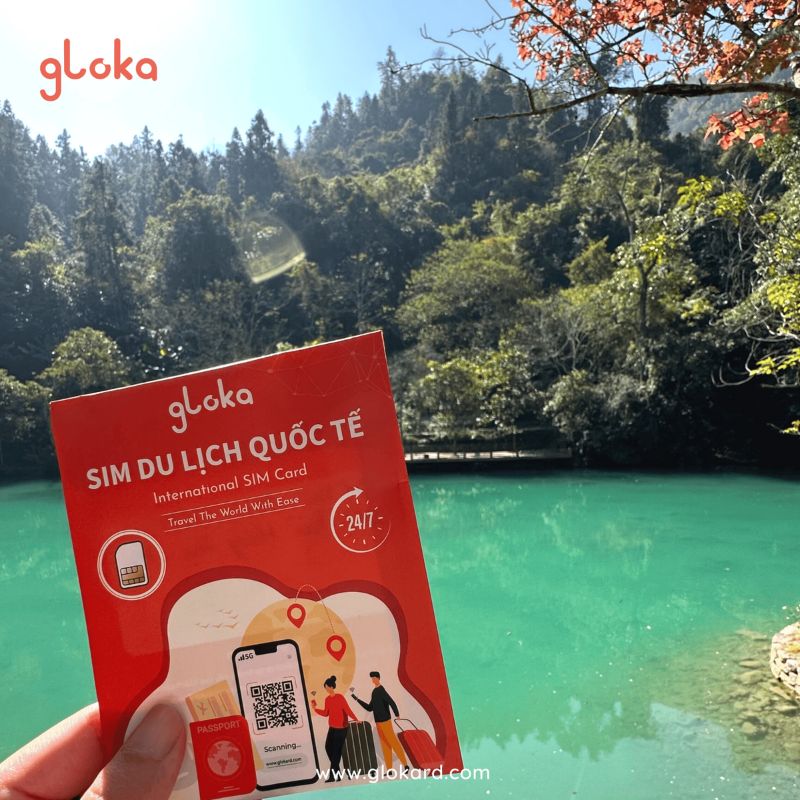sim data châu âu