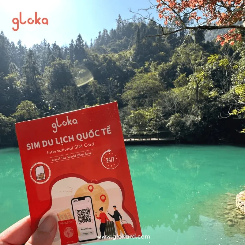 Sim Châu Âu O2: Hướng Dẫn A-Z Cho Chuyến Du Lịch Kết Nối Liên Tục | Gloka 6 sim data o2 châu âu