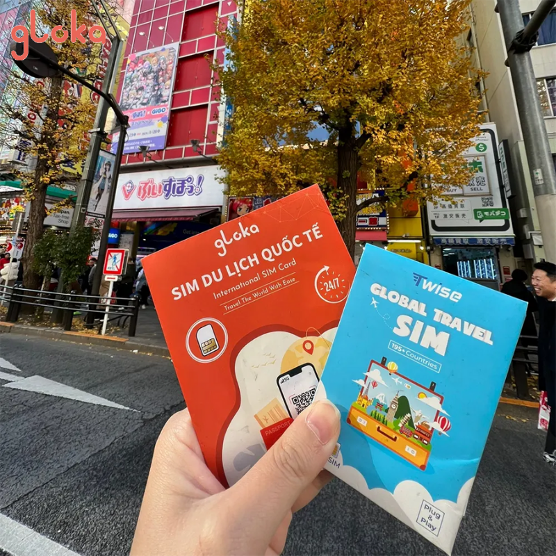 Sim Nhật Bản Của Vinaphone: Roaming Hay Sim Du Lịch? Lựa Chọn Tốt Nhất 3 So sánh sim Roaming Vinaphone với sim du lịch Nhật Bản