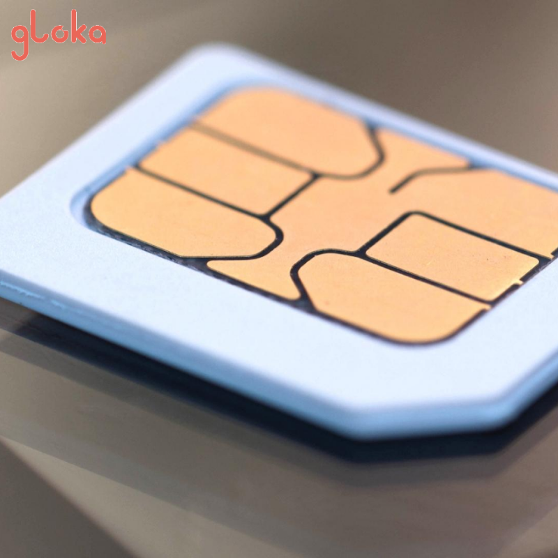 So Sánh Sim Trung Quốc Của Vinaphone Và Sim Du Lịch: Nên Chọn Loại Nào? 2 Dịch vụ sim Trung Quốc của Vinaphone