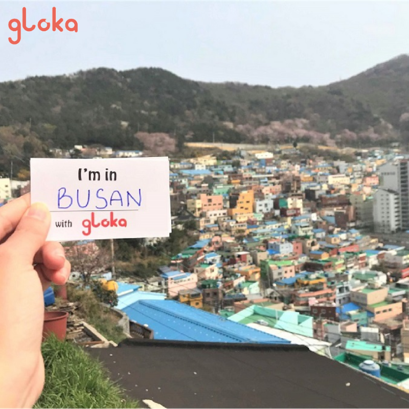 So Sánh Các Loại Sim Du Lịch Hàn Quốc: Loại Nào Tốt Nhất Cho Bạn? 6 Lưu ý quan trọng khi sử dụng sim du lịch Hàn Quốc
