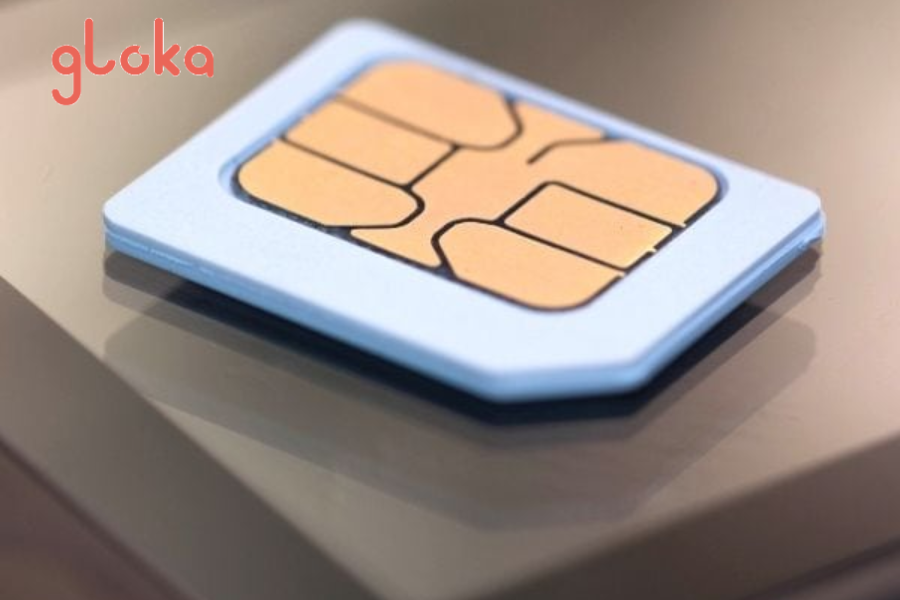 so sánh SIM vật lý và eSIM đi Hàn Quốc
