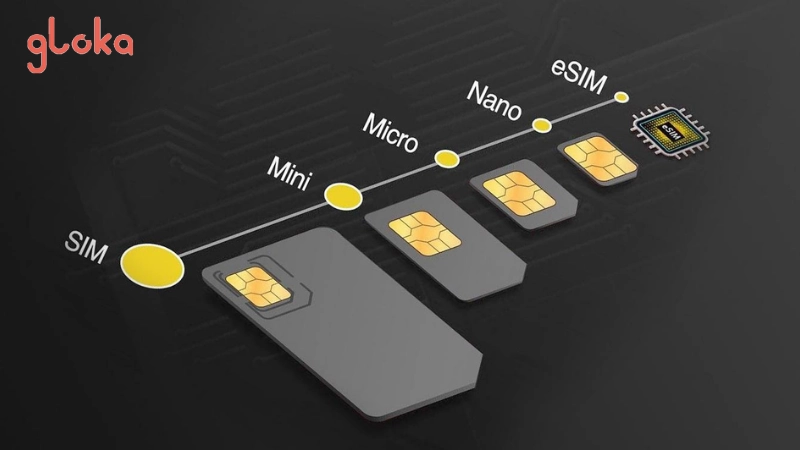 So sánh eSIM với các phương án kết nối khác khi du lịch