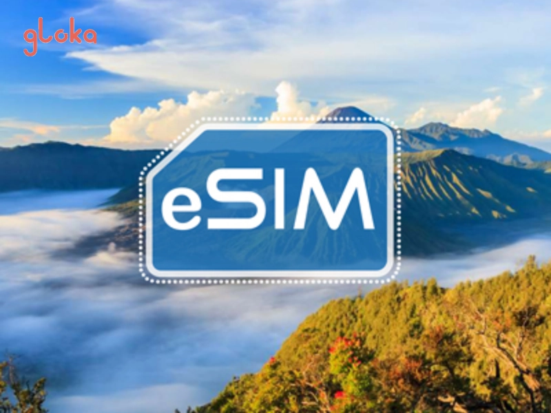 Mua eSIM Du Lịch Tại Việt Nam – Data Tốc Độ Cao | Giao Nhanh, Kích Hoạt Ngay 10 Tìm hiểu về eSIM du lịch