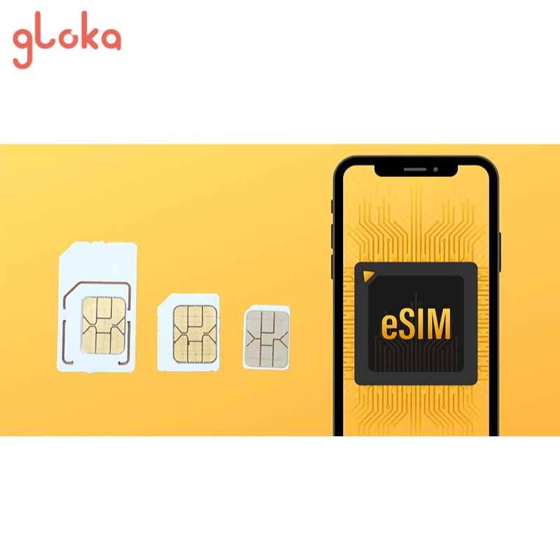 So sánh eSIM Twise với các lựa chọn kết nối khác khi du lịch