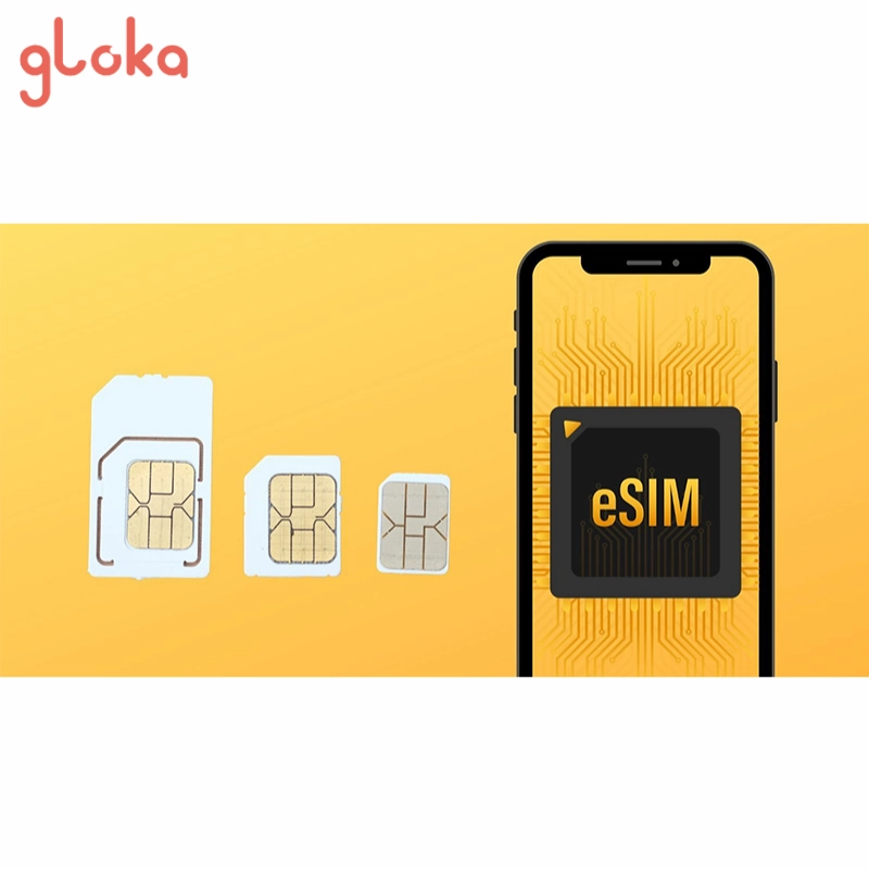 Những lưu ý quan trọng khi sử dụng 2 eSIM