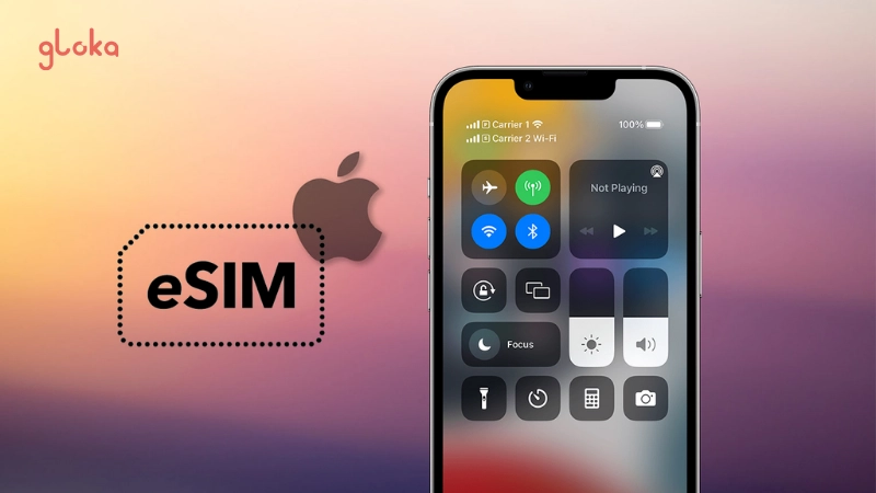 1 Máy Dùng Được Mấy eSIM? Giải Đáp Chi Tiết 4 Hướng dẫn quản lý eSIM trên điện thoại của bạn