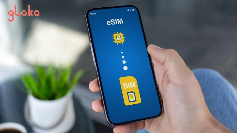 Giải pháp xử lý khi eSIM hết dung lượng 